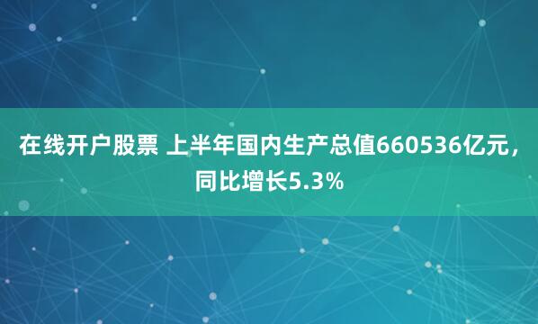 在线开户股票 上半年国内生产总值660536亿元，同比增长5.3%