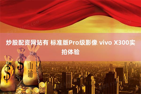 炒股配资网站有 标准版Pro级影像 vivo X300实拍体验